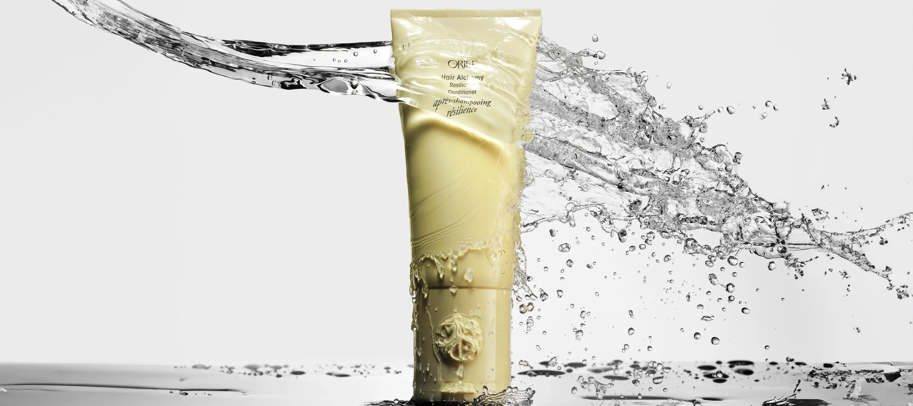 Elevate Your Hair to Artistry